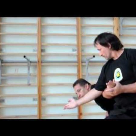 Техника Wing-Djitsu.mp4